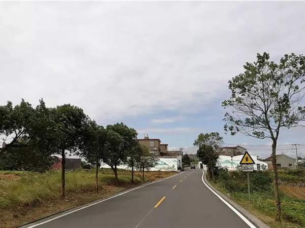 温岭杭州市政道路施工时间段深度剖析:平衡建设与城市生活